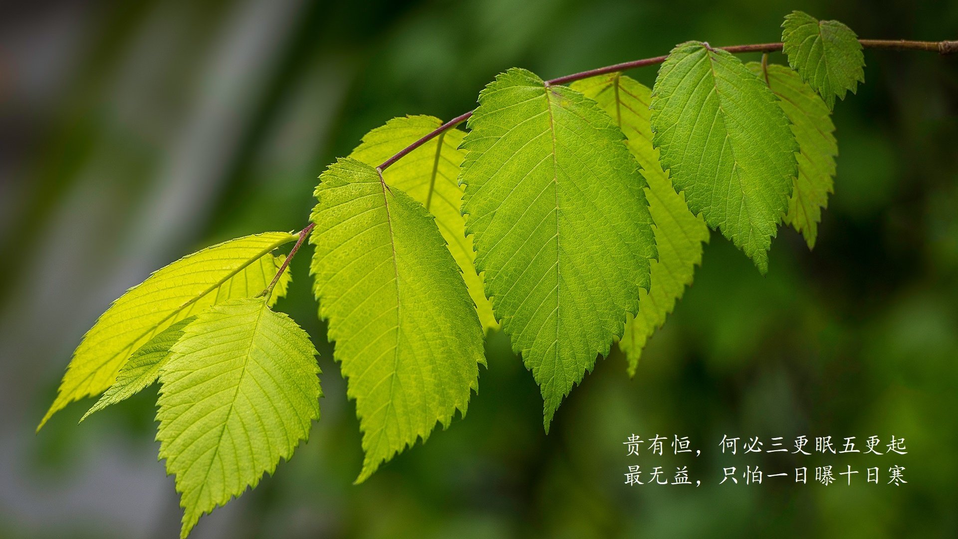爱游戏娱乐网址-全场视角：从不同角度看比赛的超级合集，多角度看赛场的介绍