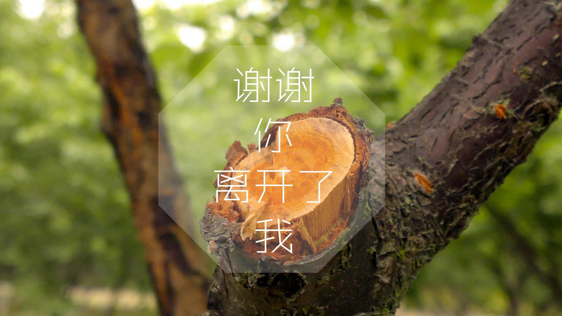 AYX GAMING-新疆飞虎主场负于辽宁，遭遇两连败，新疆飞虎赛程表