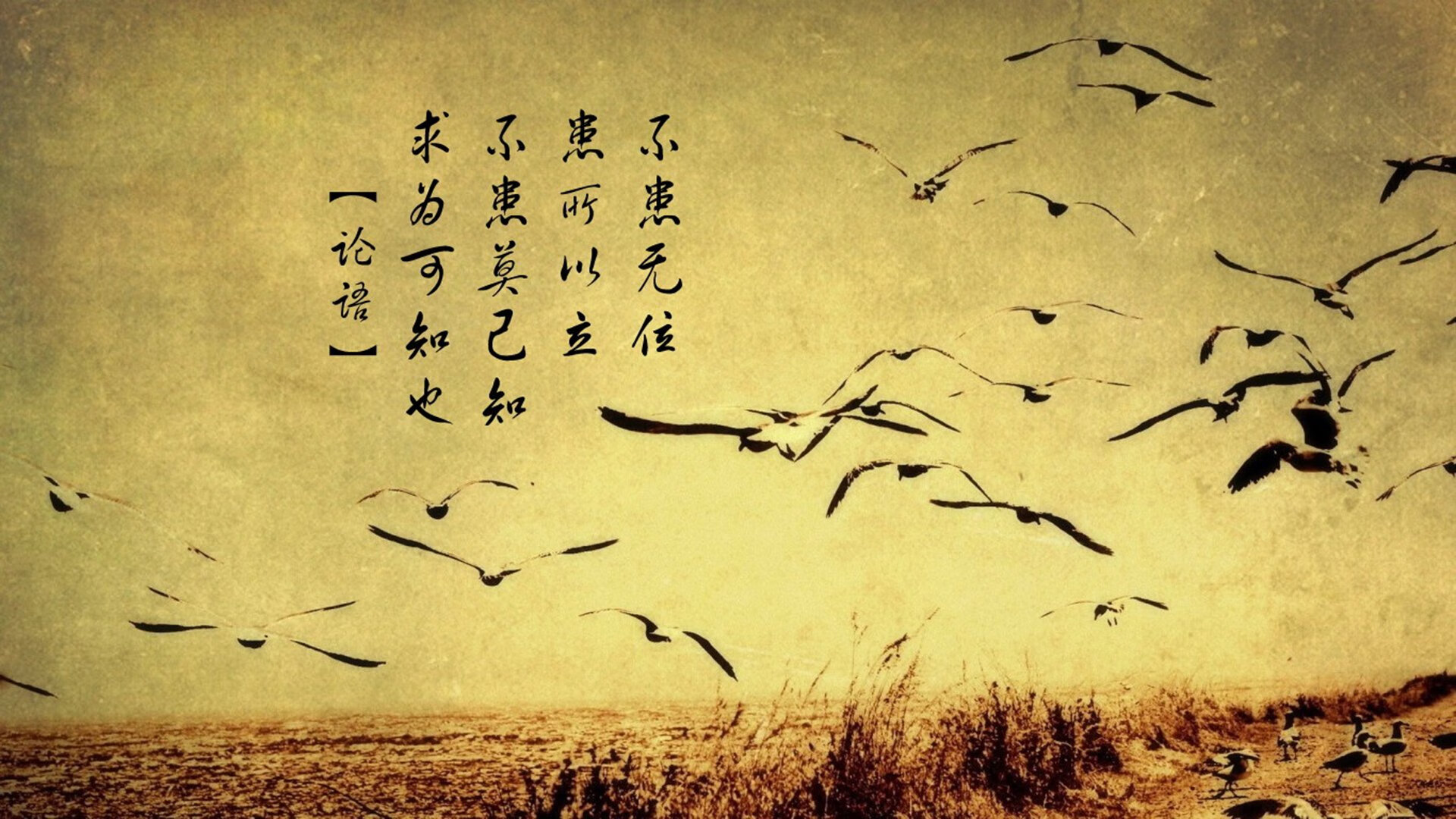 爱游戏下载-中国男篮季前训练营严密安排 夯实技术基础,中国男篮晒集训合影