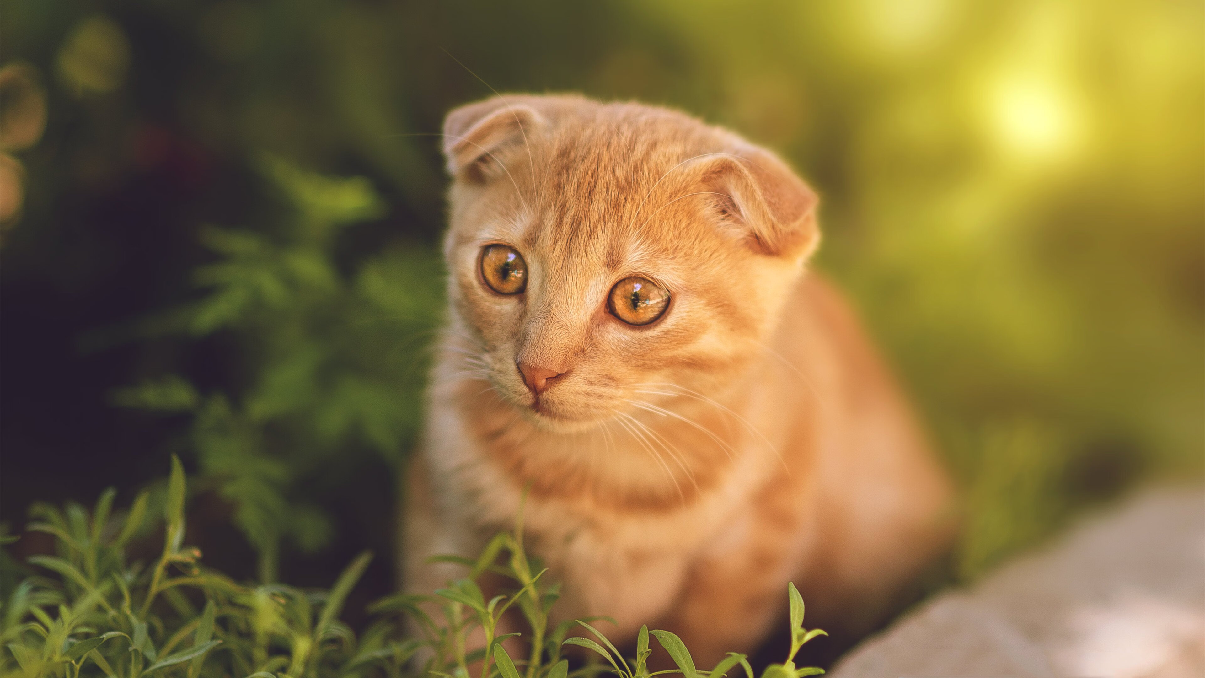 爱游戏体育APP下载-中超联赛中国青年队战败 球员需要更多实战经验，中超青年csly