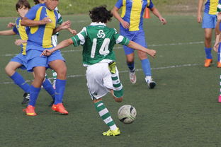 -体育新闻中心发布体育内容原创度智能评估工具,体育新闻可视化