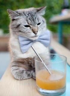 爱游戏登录入口-热那亚球员状态回暖抢分势头强劲,热那亚球员名单