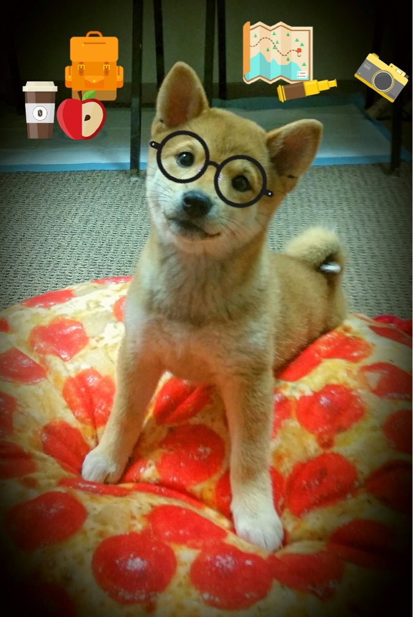 爱游戏官方-赛制变化!国际乒联混合团体世界杯德国队如何调整战术,乒乓球德国联赛