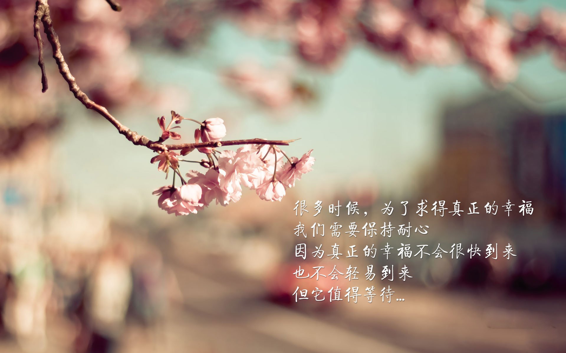 爱游戏官方网站-中国篮球明星球员回归家乡举办公益训练营传播篮球文化,中国篮球队运动员