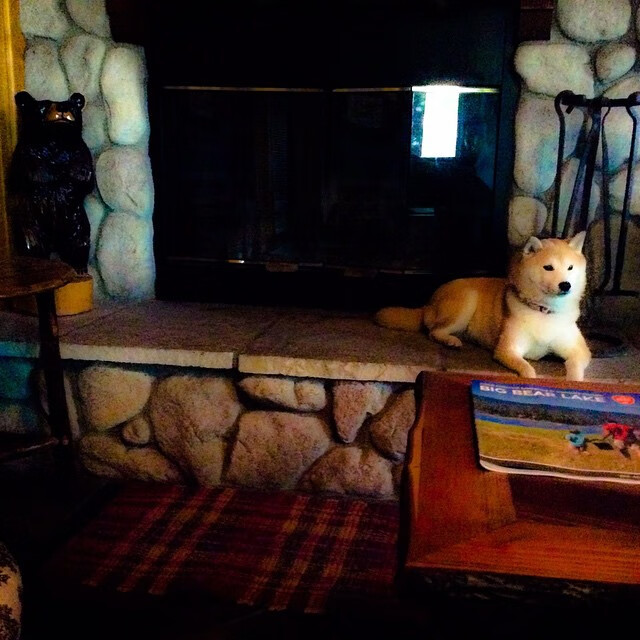 爱游戏娱乐网址-美洲杯激情燃烧:逆境中拼搏的精彩篇章,美洲杯锦集