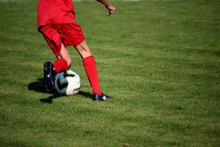 爱游戏-西甲联赛的球员科学训练体系,西甲联赛的球员科学训练体系怎么样