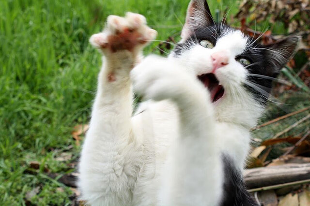 爱游戏-西甲联赛的球员科学训练体系,西甲联赛的球员科学训练体系怎么样