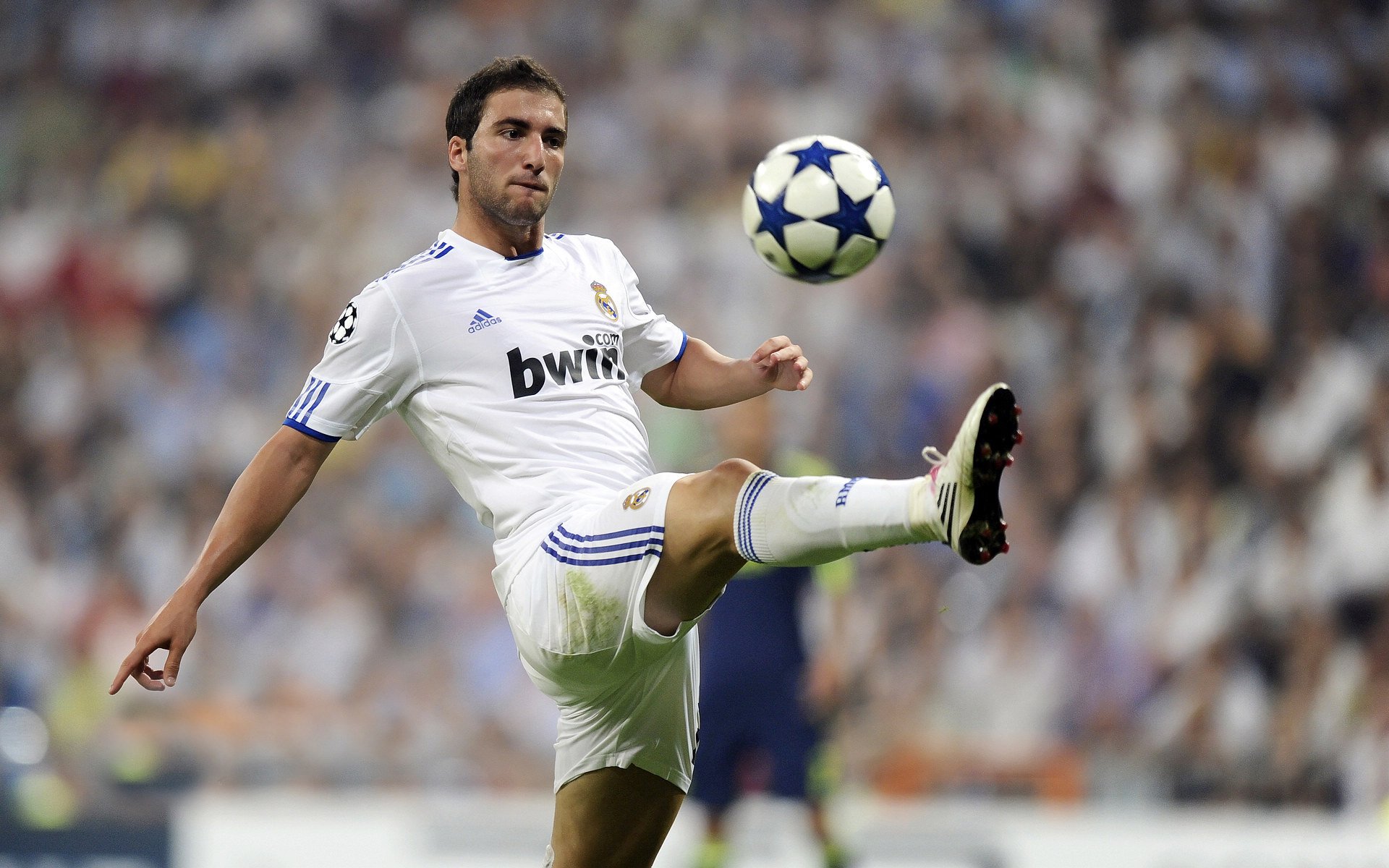 爱游戏体育app-马克·阿特金森：进攻端的核心力量，南非队的强力支柱，马克·阿特金斯