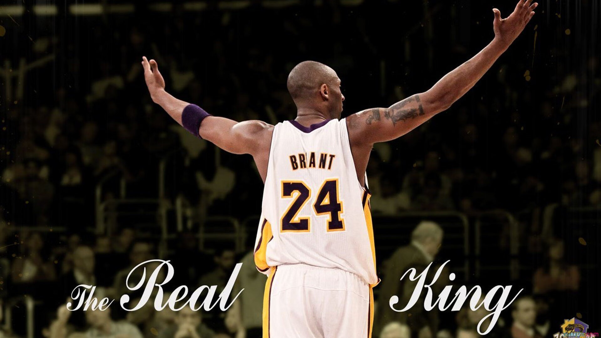 《英雄联盟》S赛与《DOTA2》Ti赛事的全球观众争夺战，lol比赛dota2